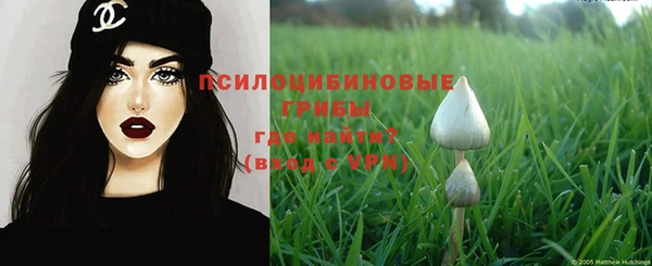 гидра Алзамай