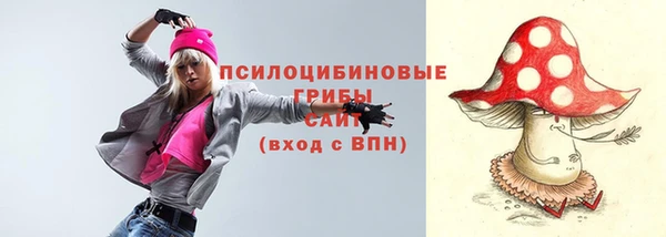 гидра Алзамай