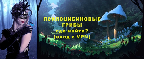 синтетический гашиш Алексеевка