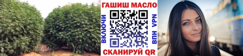 как найти закладки  Вихоревка  ТГК концентрат 