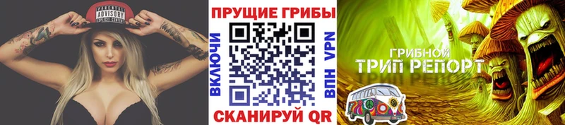 Псилоцибиновые грибы прущие грибы  Вихоревка 